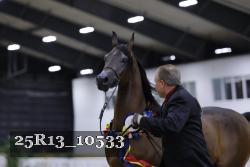 25R13_10533 thumbnail