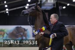 25R13_10534 thumbnail