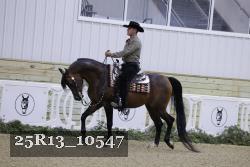 25R13_10547 thumbnail