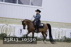25R13_10550 thumbnail