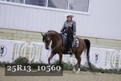25R13_10560 thumbnail
