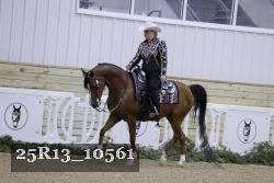 25R13_10561 thumbnail