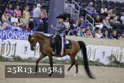 25R13_10584 thumbnail