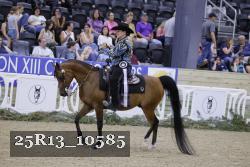 25R13_10585 thumbnail