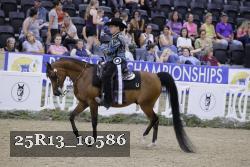 25R13_10586 thumbnail