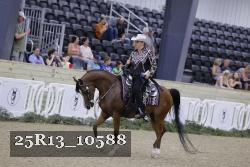25R13_10588 thumbnail