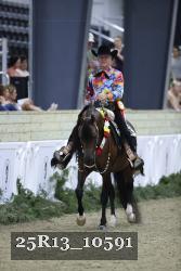 25R13_10591 thumbnail