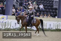 25R13_10592 thumbnail