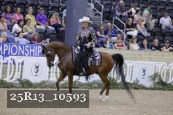 25R13_10593 thumbnail