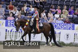 25R13_10601 thumbnail