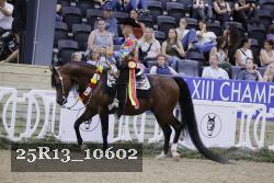 25R13_10602 thumbnail
