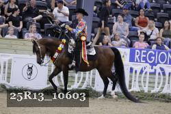 25R13_10603 thumbnail