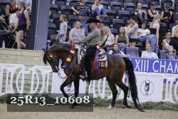 25R13_10608 thumbnail