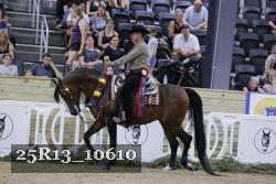 25R13_10610 thumbnail