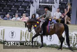 25R13_10611 thumbnail