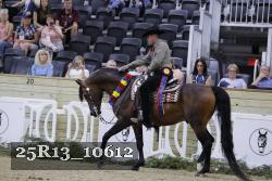25R13_10612 thumbnail