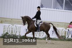 25R13_10616 thumbnail