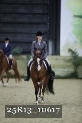 25R13_10617 thumbnail