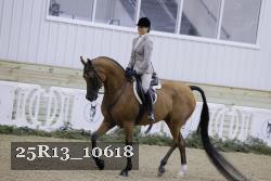 25R13_10618 thumbnail