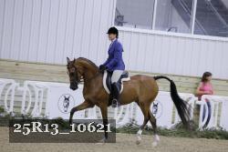 25R13_10621 thumbnail