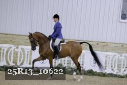 25R13_10622 thumbnail