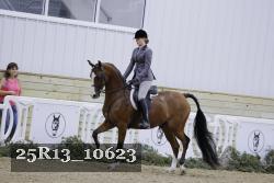 25R13_10623 thumbnail