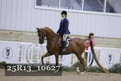 25R13_10627 thumbnail