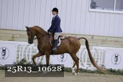 25R13_10628 thumbnail
