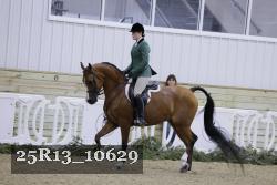 25R13_10629 thumbnail