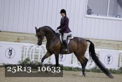 25R13_10633 thumbnail