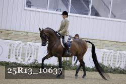 25R13_10637 thumbnail