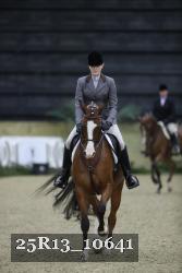25R13_10641 thumbnail
