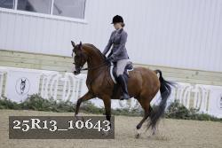 25R13_10643 thumbnail