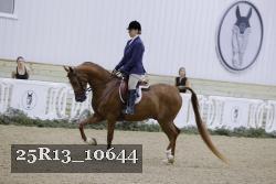 25R13_10644 thumbnail