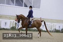 25R13_10645 thumbnail