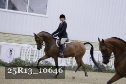 25R13_10646 thumbnail