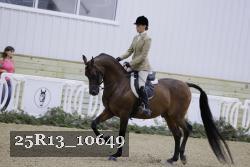 25R13_10649 thumbnail