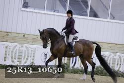 25R13_10650 thumbnail