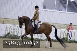 25R13_10652 thumbnail