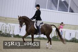 25R13_10653 thumbnail