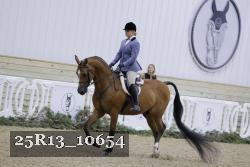 25R13_10654 thumbnail