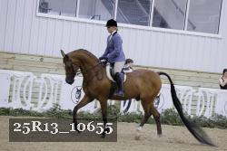 25R13_10655 thumbnail