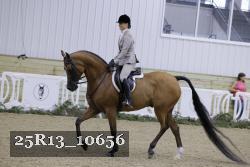 25R13_10656 thumbnail