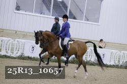 25R13_10657 thumbnail