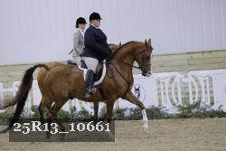 25R13_10661 thumbnail