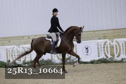 25R13_10664 thumbnail