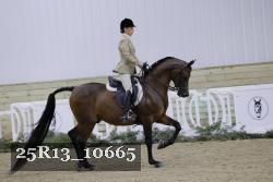 25R13_10665 thumbnail