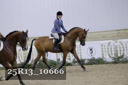 25R13_10666 thumbnail