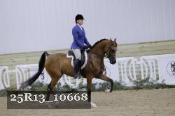 25R13_10668 thumbnail