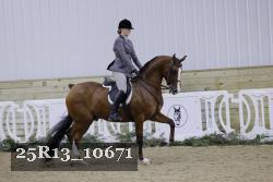 25R13_10671 thumbnail